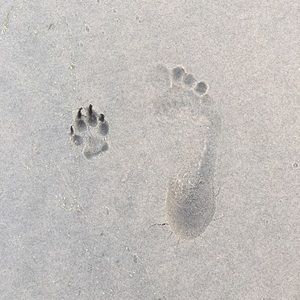 Meet your Posher, Gabrielle